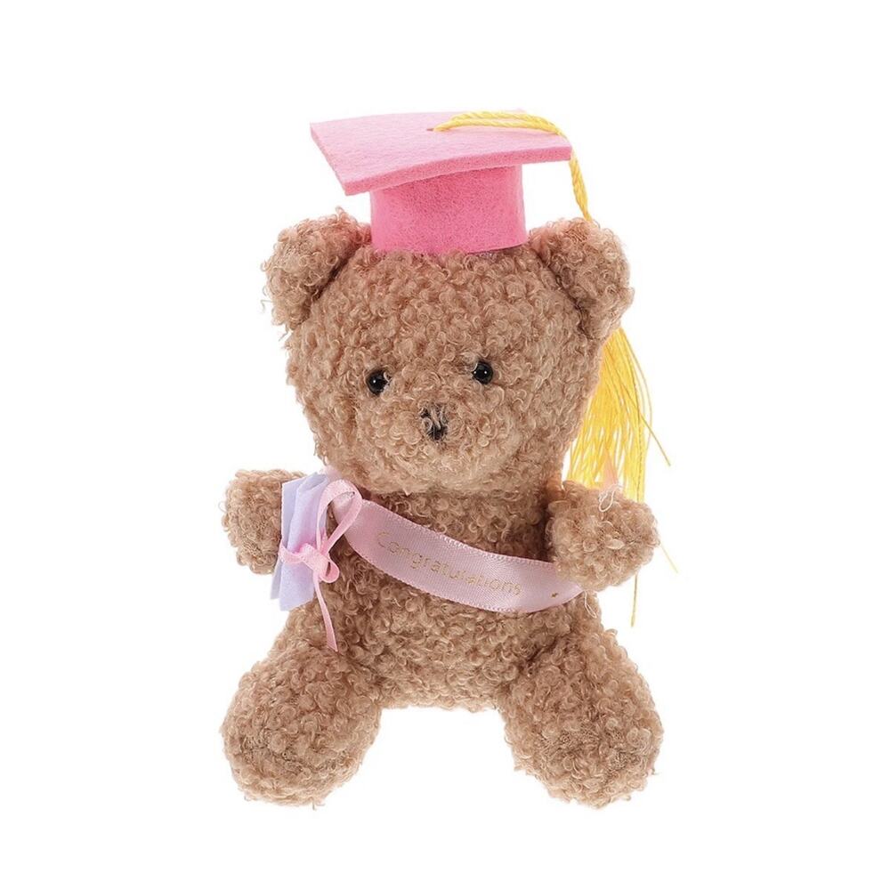 GRADUATION PLUSH BEAR Gift with Diploma Pink